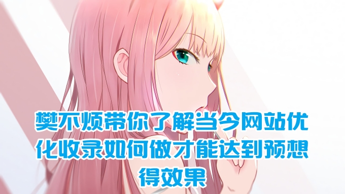 樊不烦带你了解当今网站优化收录如何做才能达到预想的效果